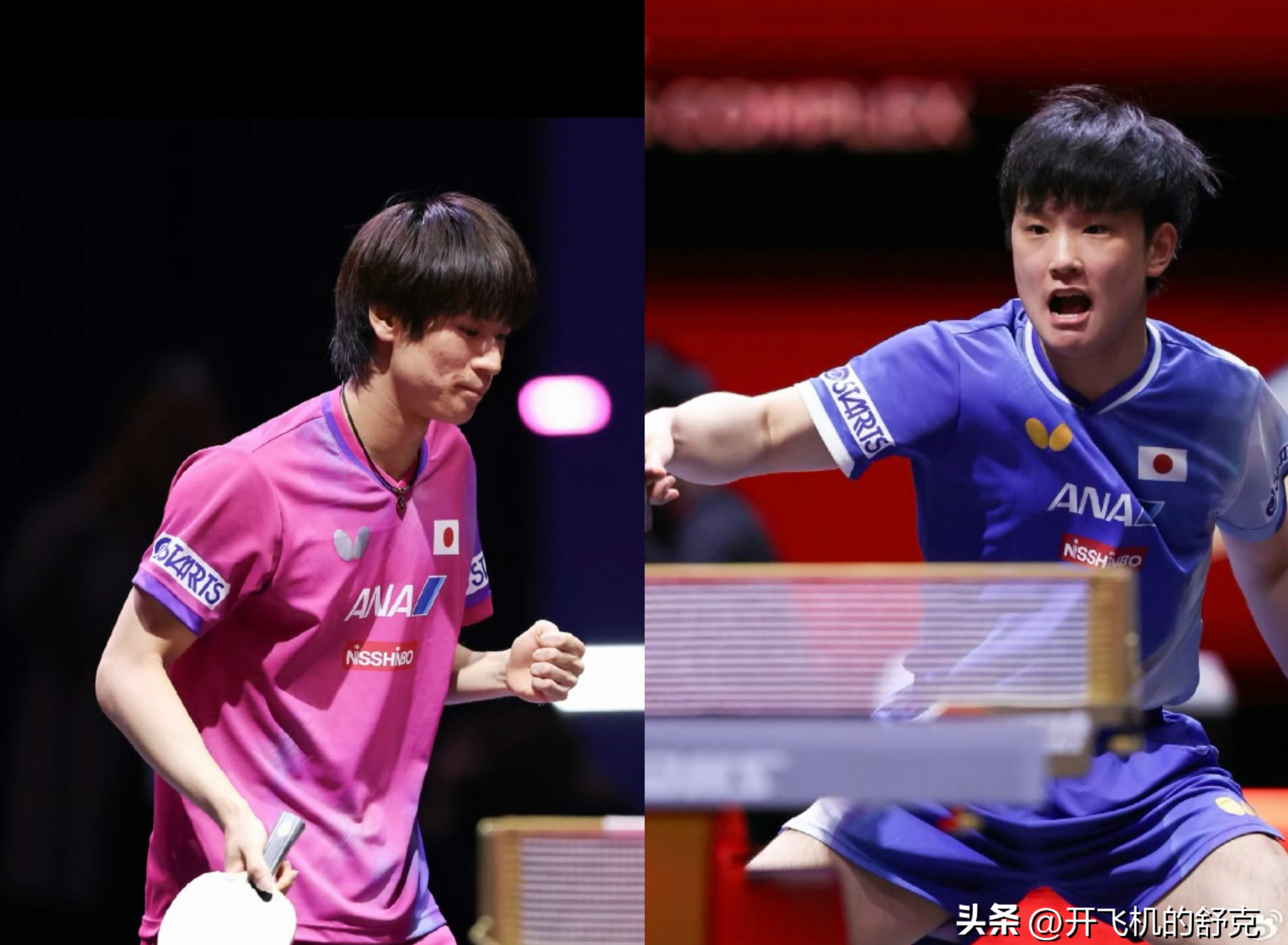 德国乒乓球队完胜比利时乒乓球队，张本智和统治全场