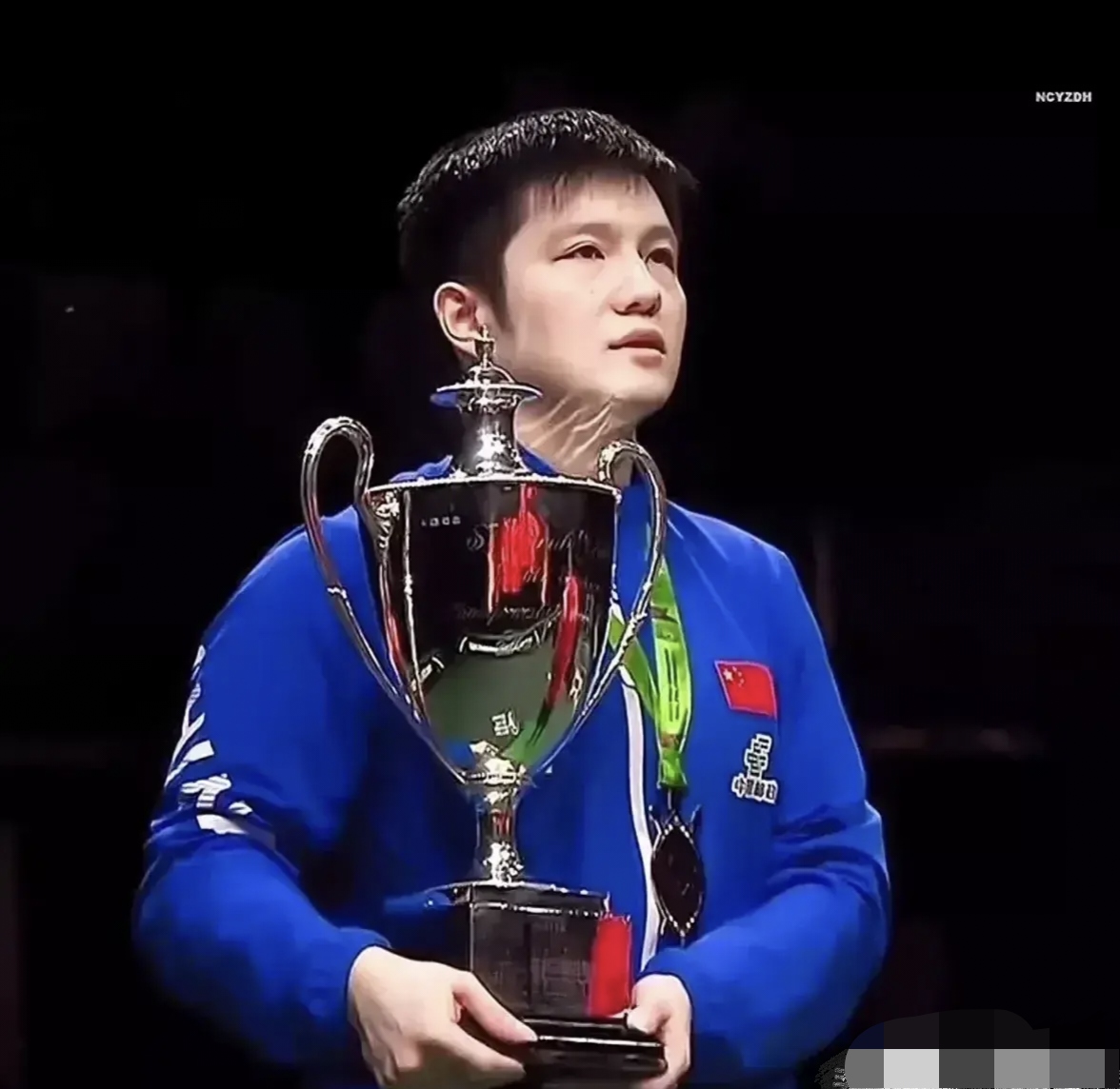 开云体育中国-法国队力克奥地利队，樊振东扛起全队