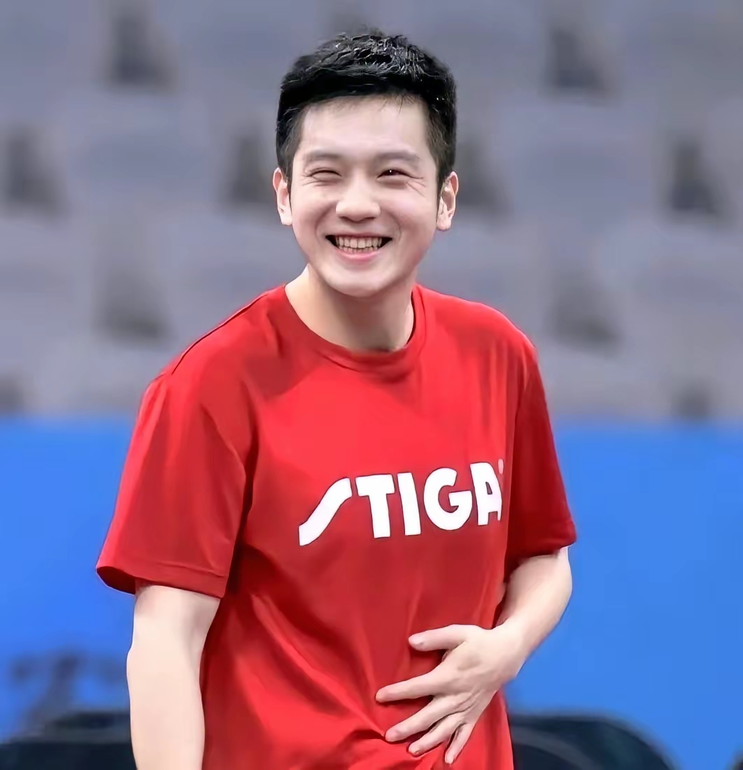 法国队力克奥地利队，樊振东扛起全队