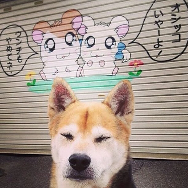 开云体育在线-逆转奇迹，葡萄牙队力克中国队，波尔成关键先生