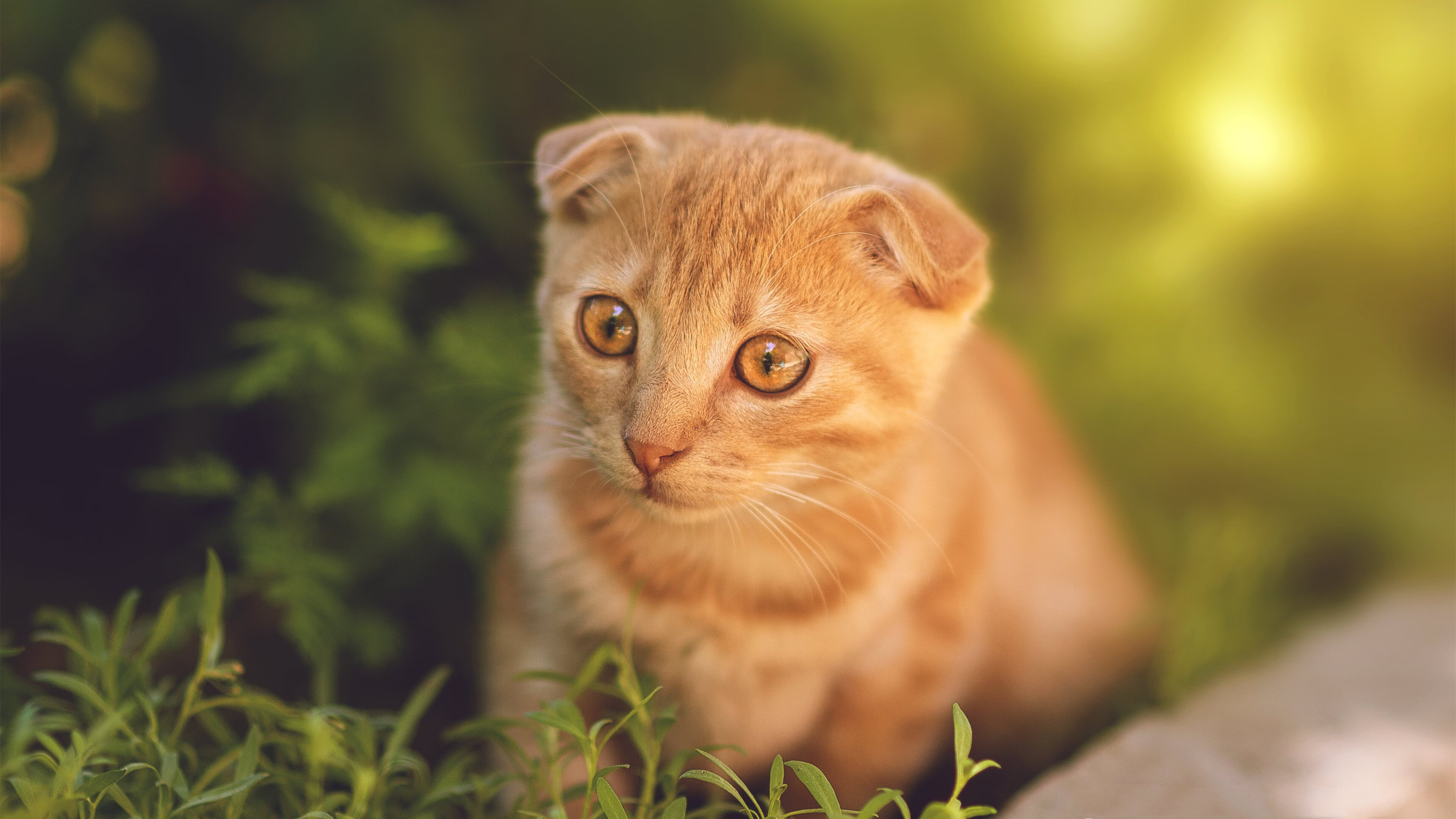 开云体育app-全息锋刃刺破天蓝城墙，塞维利亚轻取那不勒斯的虚拟现实之役