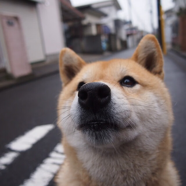 开云体育-红魔棋局，手术刀直击蓝黑心脏—罗德里一球定江山