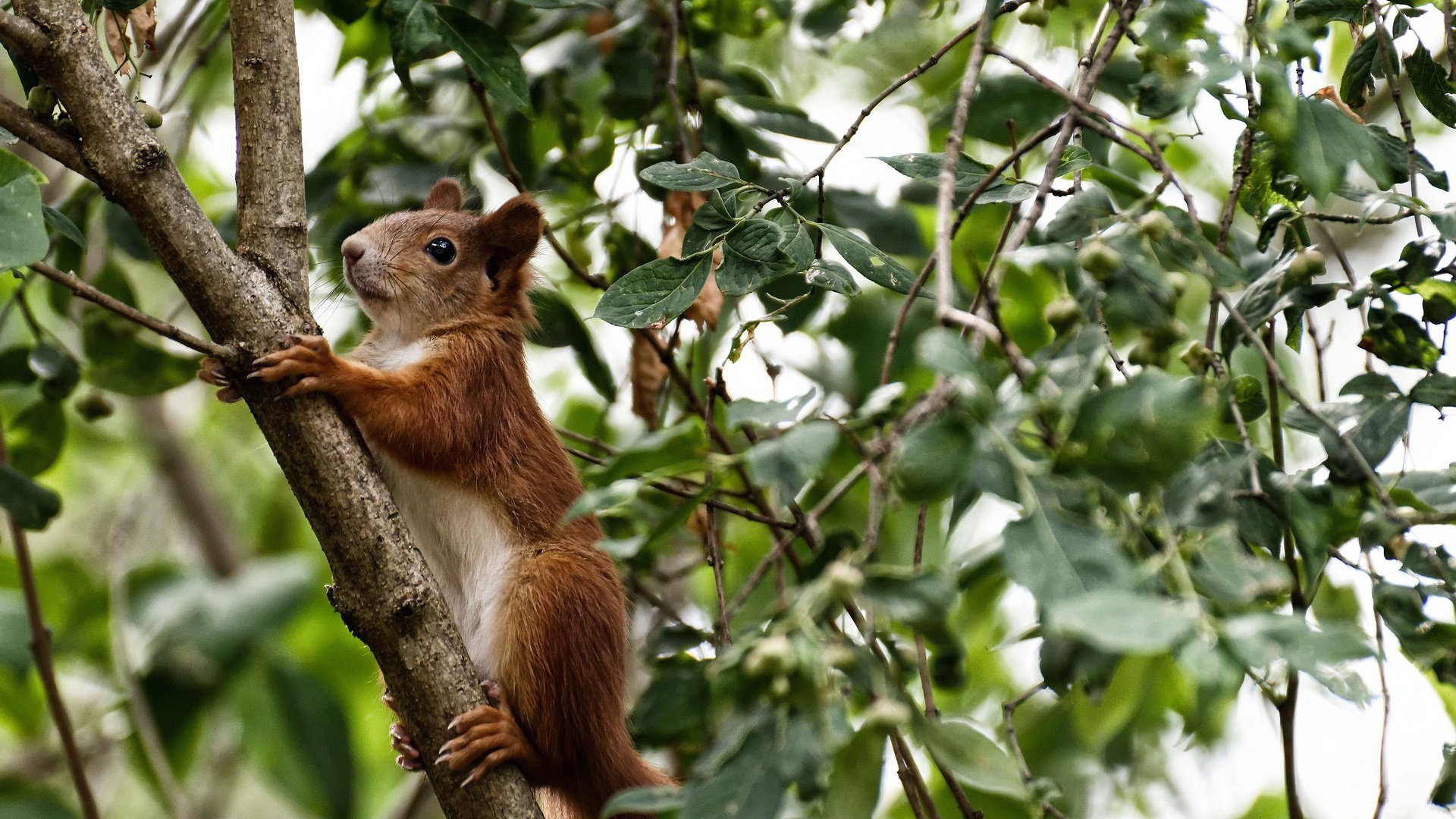 开云体育app-跨越次元的篮球信条，广东队虚拟战场粉碎太阳，詹姆斯数据风暴统治全场