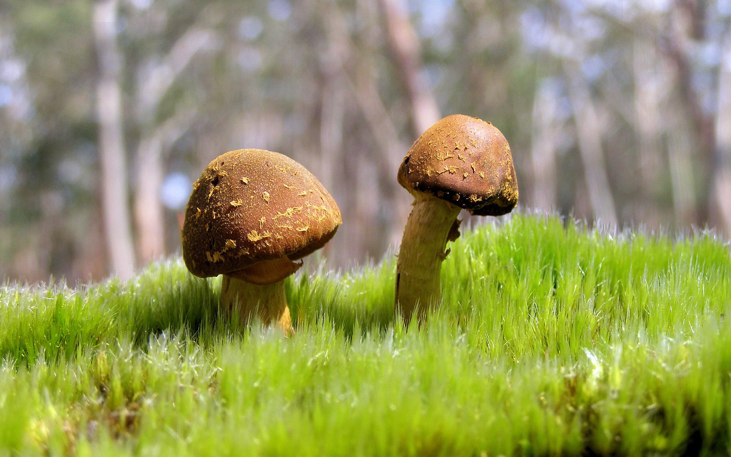 开云体育在线-绿茵场上的利拉德时间，一记惊世贴地斩如何终结英超十年悬疑