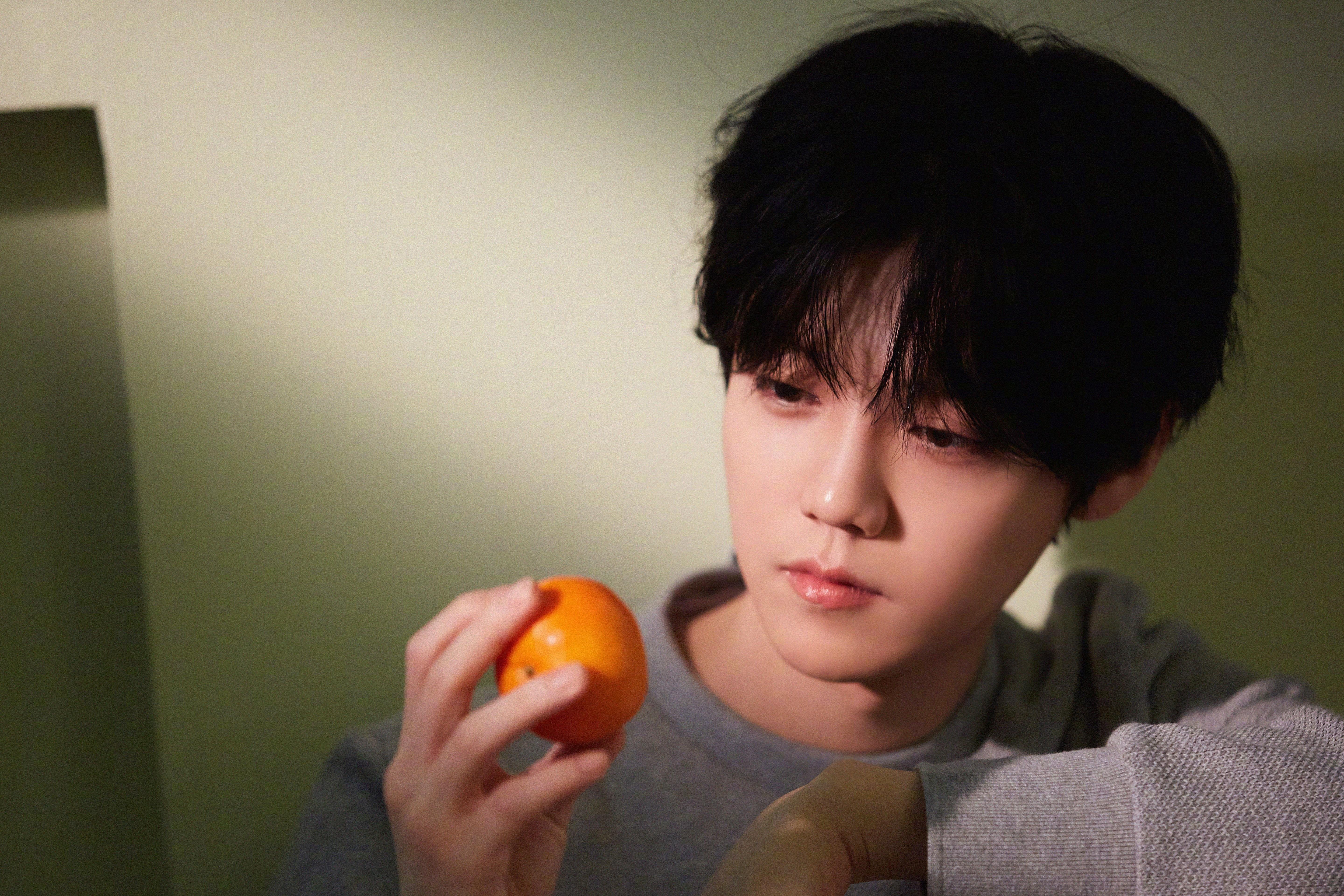 冰山下的烈焰,阿坎吉的钢铁防线与比利时闪电战的启示