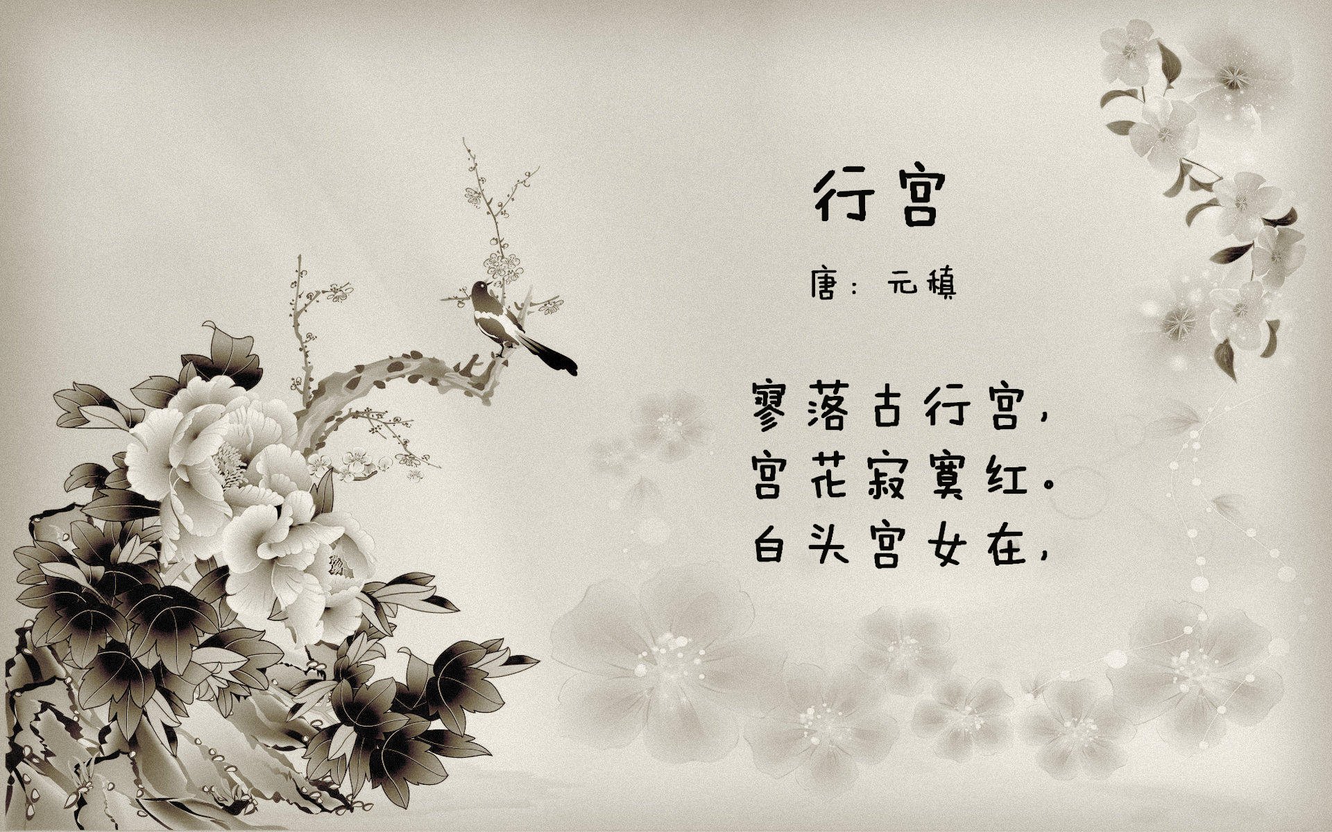 战术板上的独舞与合奏，斯通斯的艺术与阿尔及利亚的暴力美学