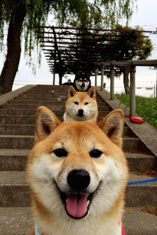 赢球只能靠超级球星？北京队的战术说不