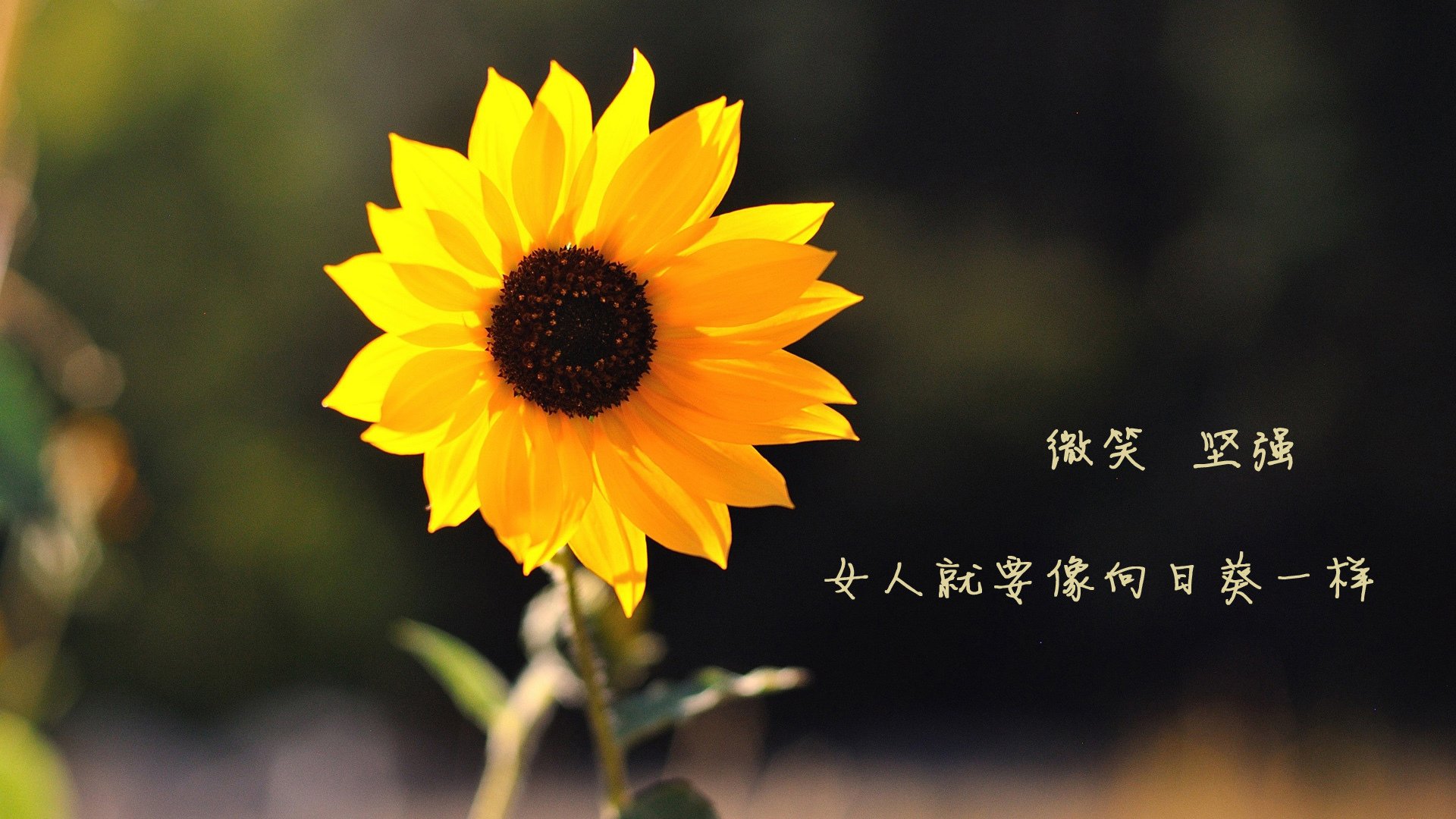 开云体育在线-新罗马的黄昏，姆巴佩如何成为日本压迫足球下的关键破局者