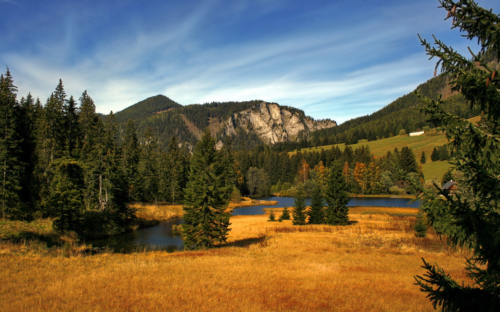 锡安，大场面先生降临洛杉矶，独行侠快船之战见证新王加冕