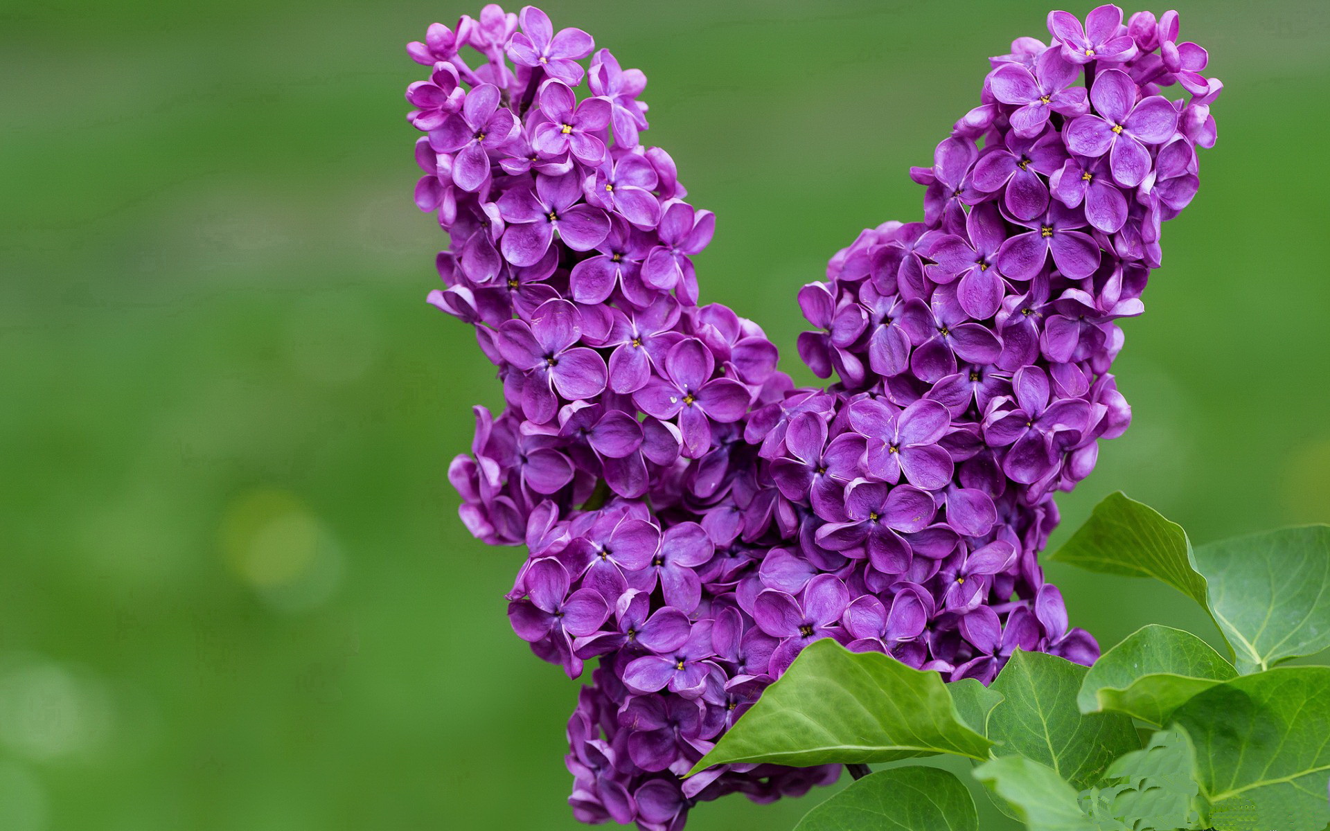 开云体育APP下载-七十一分之夜，当凡人躯壳迸发神迹