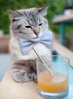 开云体育登录-一顶帽子戏法与三记耳光，当拉齐奥横扫阿根廷，皮克在马拉多纳的注视下完成终极输出