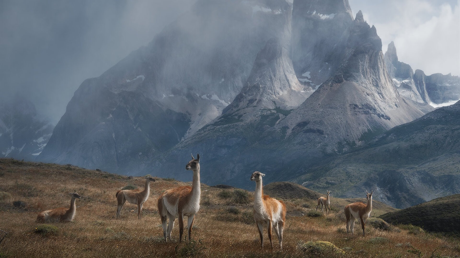 开云体育入口-决胜时刻的奥运序曲，灰熊绝杀雷霆背后的国家队选拔暗战