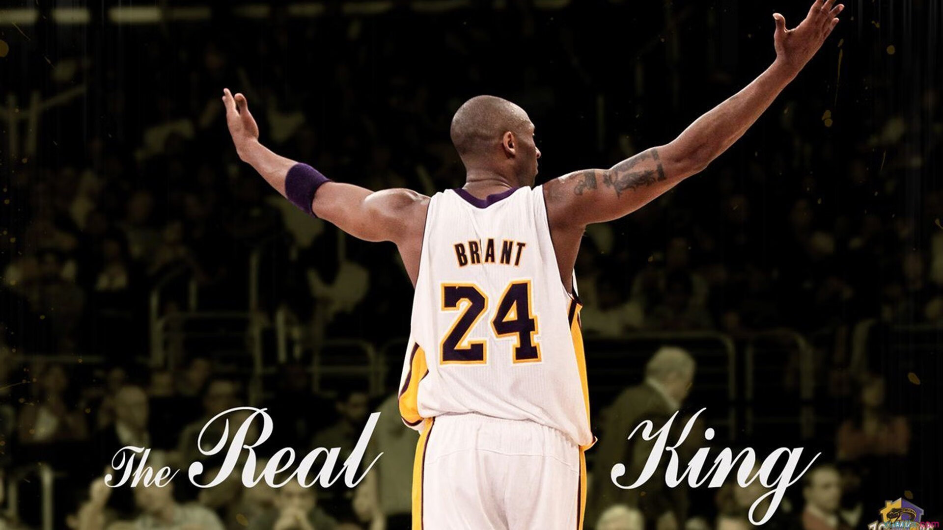 斯蒂芬·库里的未来审判，当时间裂缝中的哈登末节接管勇士与黄蜂之战