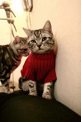 德罗赞末节封神！开拓者一波流席卷太阳，关键先生打破质疑