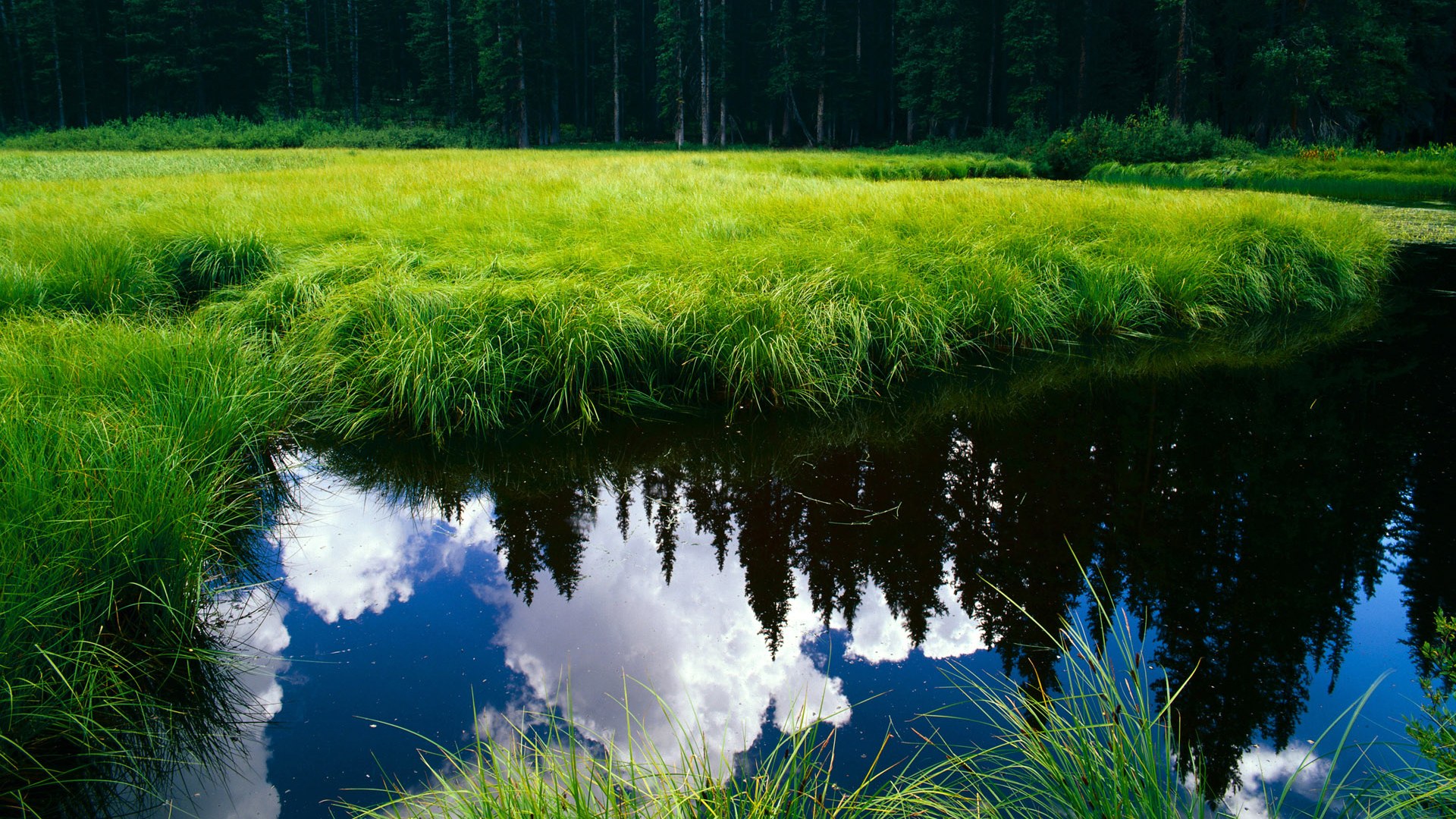 开云体育中国-骑士再斩勇士，米切尔封神之战