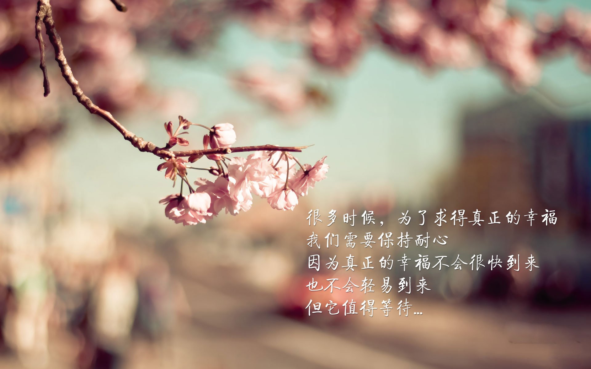 开云体育APP下载-东契奇撕裂寂静，当数据神话破裂，他在最后七分钟成为唯一的神