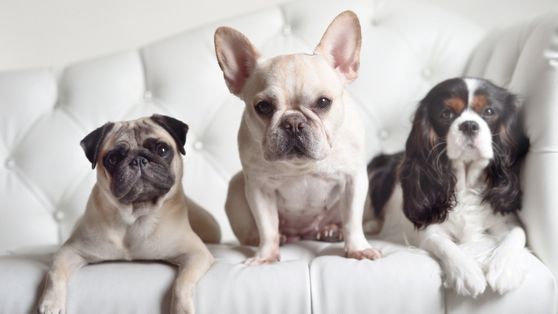 隐形主宰,福登如何在争冠之夜以幽灵般的全能统治攻防两端