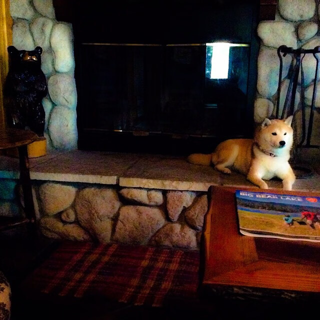 楚阿梅尼丈量足球版图,从佛罗伦萨的法国印记到加纳血缘的里程碑