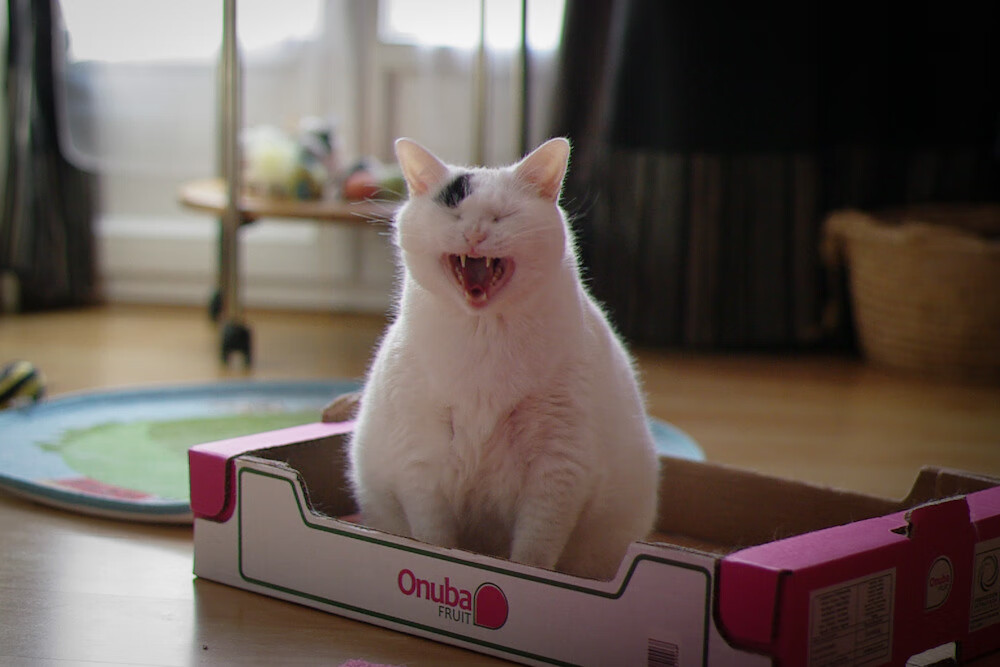 意甲德比夜,米切尔一剑封喉,这就是1亿欧元的价值