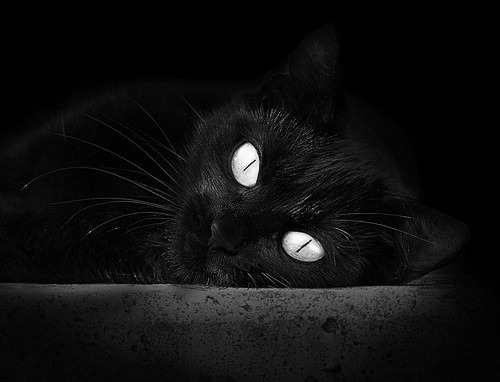 平行宇宙的篮球对决，当西亚卡姆在吉林主场爆发，快船战术如何穿越压制？