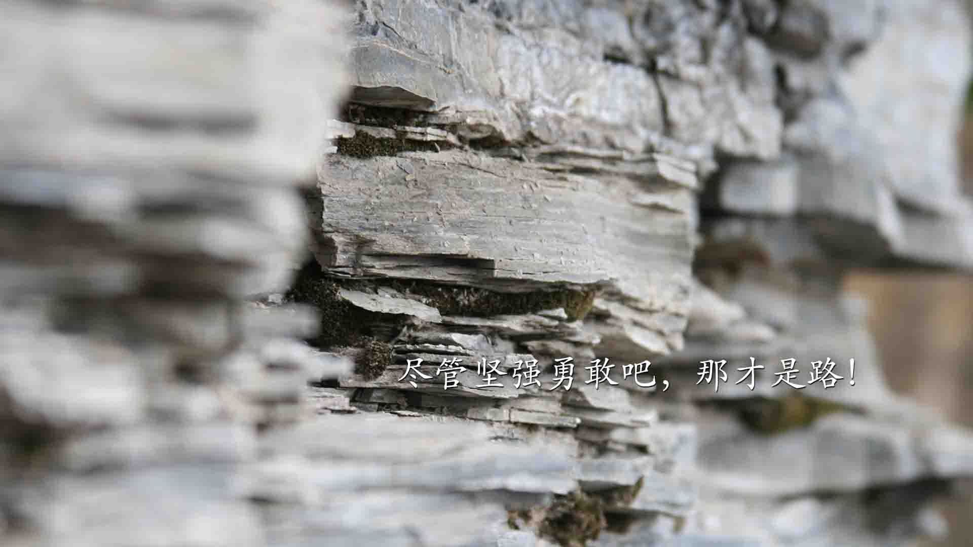 妖刀出鞘，终不敌血脉图腾，当内马尔的桑巴焰火照亮苏格兰的钢铁森林