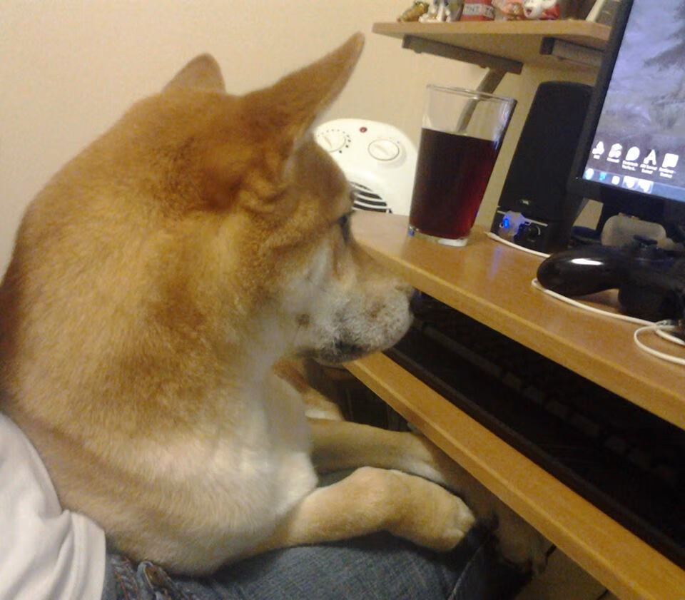 终场前闪耀，布鲁诺一锤定音，勒沃库森终结红牛不败金身