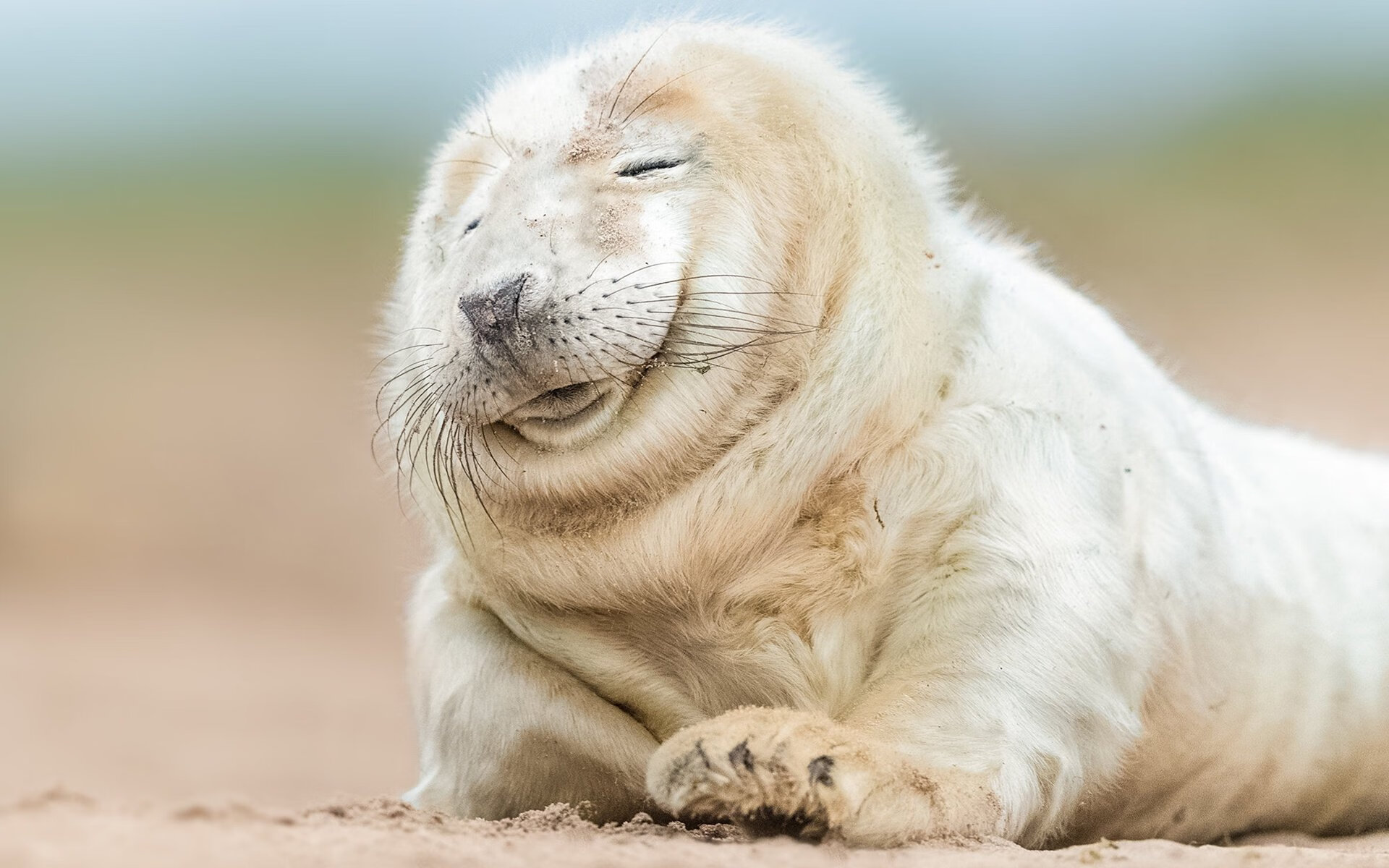 开云体育-缩小与放大，世界杯战术的罗马式单节思维