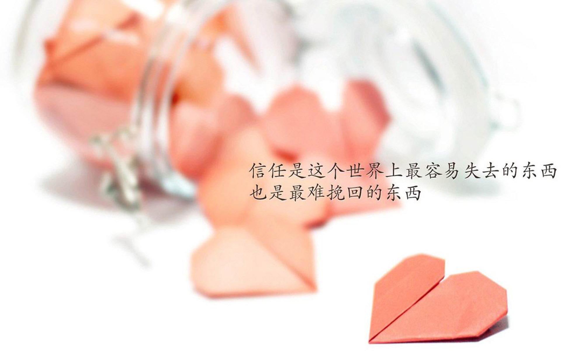 2026世界杯B组风云,阿方索·戴维斯主宰紧凑战局,伊朗力克波兰上演唯一剧本