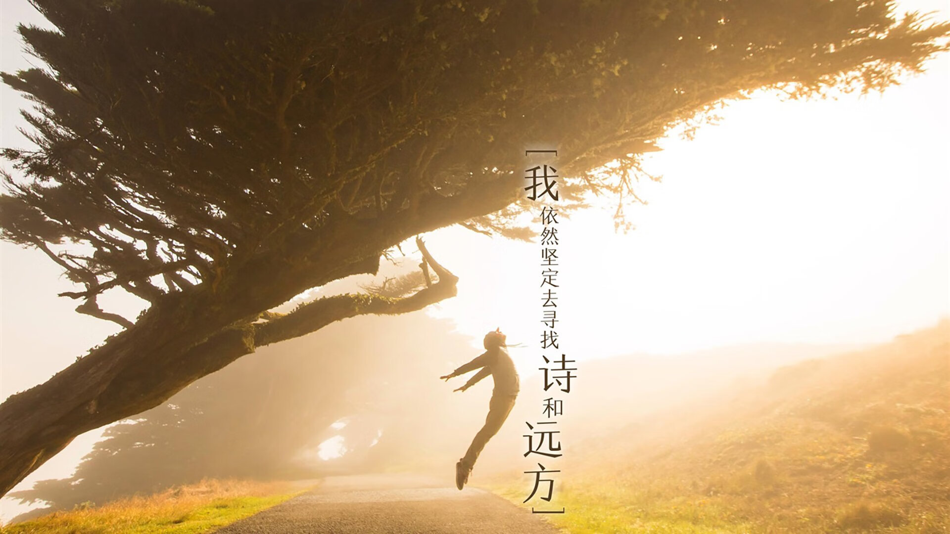 那一刻,世界为橙色静止
