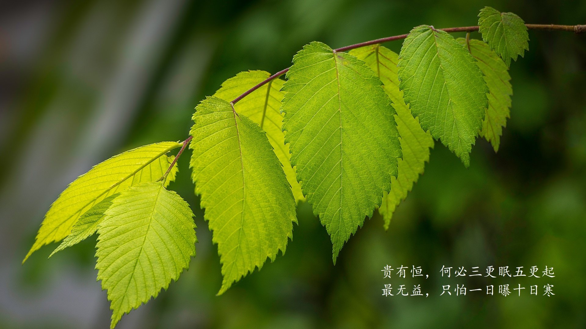 开云体育APP下载-华沙铁幕撕裂德黑兰，凯恩封神之夜，B组生死战改写世界杯剧本