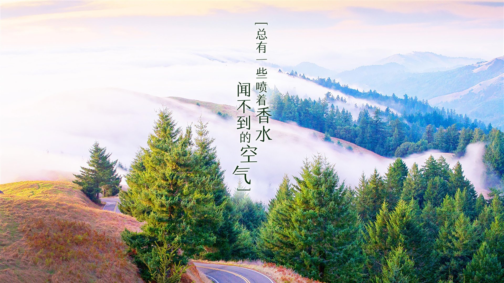 开云体育APP下载-绿茵孤勇者，当波兰战车碾过非洲雄狮，唯一性是通往王座的窄门